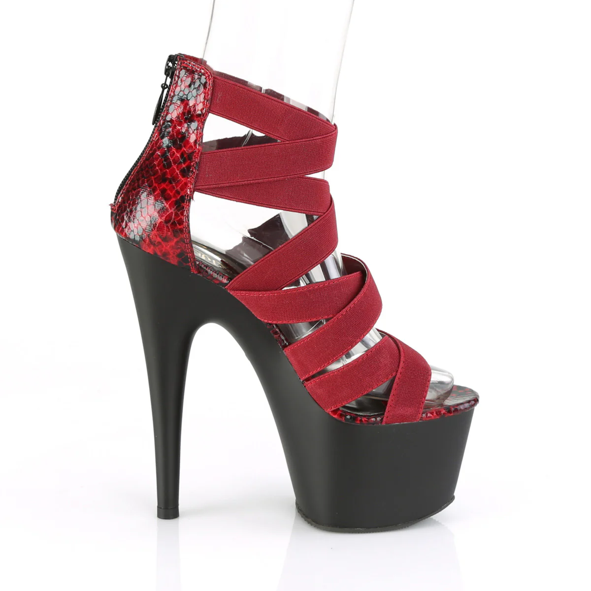 ADORE-748SP  Wine Elastic Band-Snake Print Patent/Black Ma - Image 5