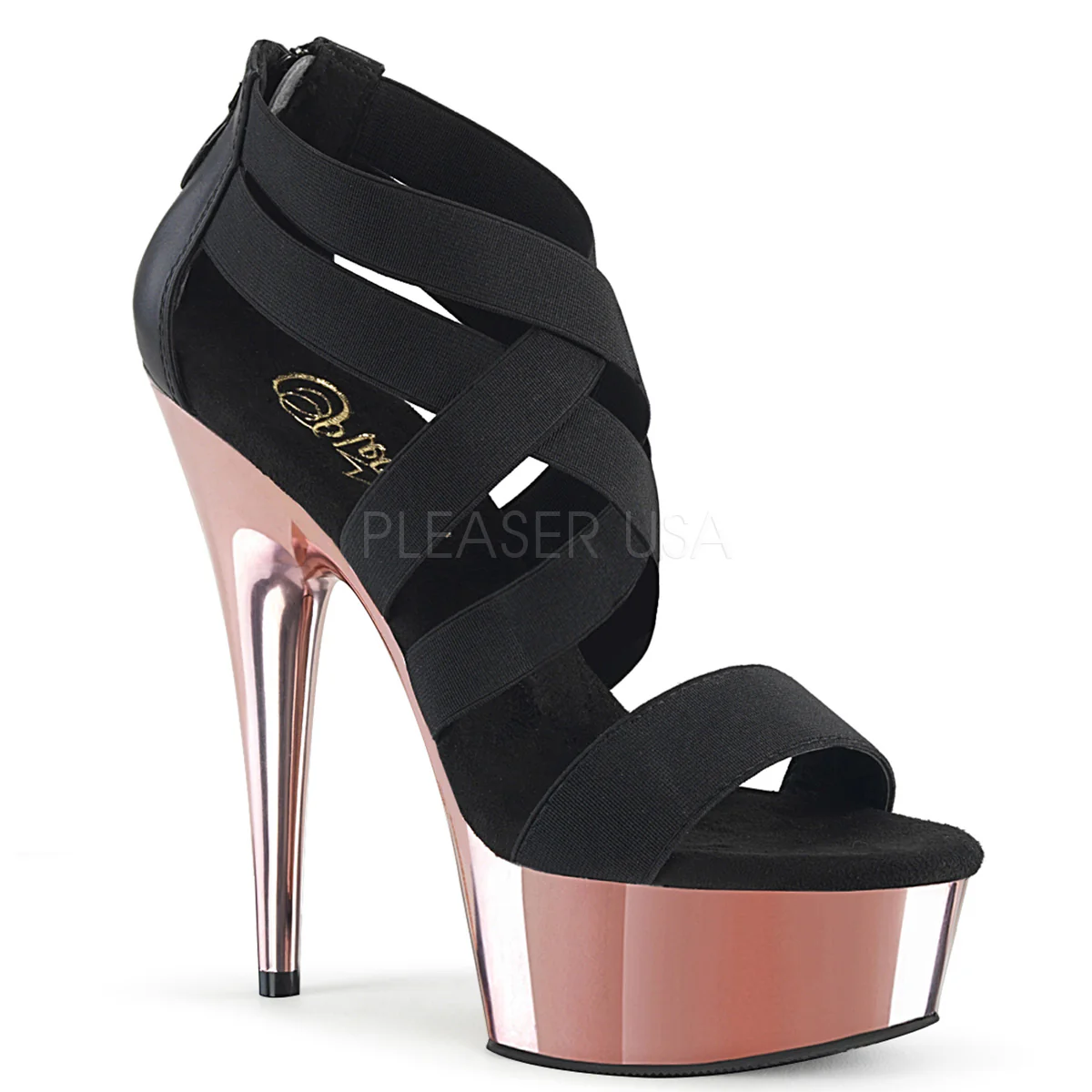 DELIGHT-669 Black Elastic Band-Faux Le/R. Gold Chrome