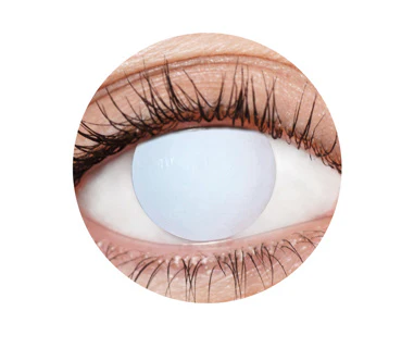 EyeFX Yearly Contact Lenses - Image 12