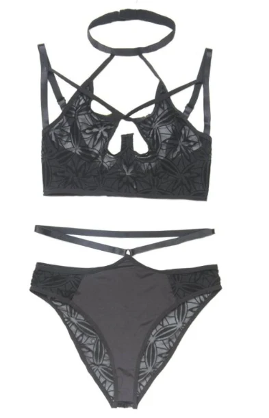 Oh So Sexy Coquette Strappy Flocked Mesh and Micofiber Bra & Panty Set - CQ7228 - Image 3