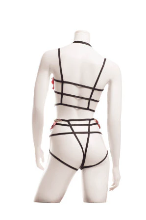 Raveware Lingerie Ambrosia Criss-cross Applique Cupless Bra and Crotchless Panty Set AB8082PB - Image 2