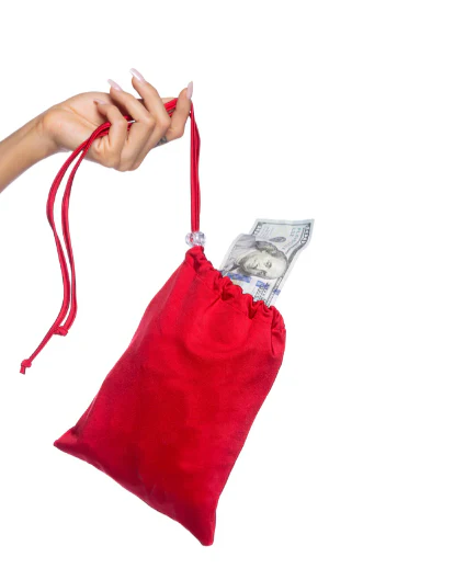 Spandex Iridescent Money Bag - 6731 Red